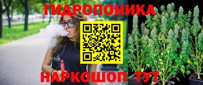 мяу мяу мука Кулебаки