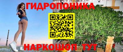 мяу мяу мука Кулебаки