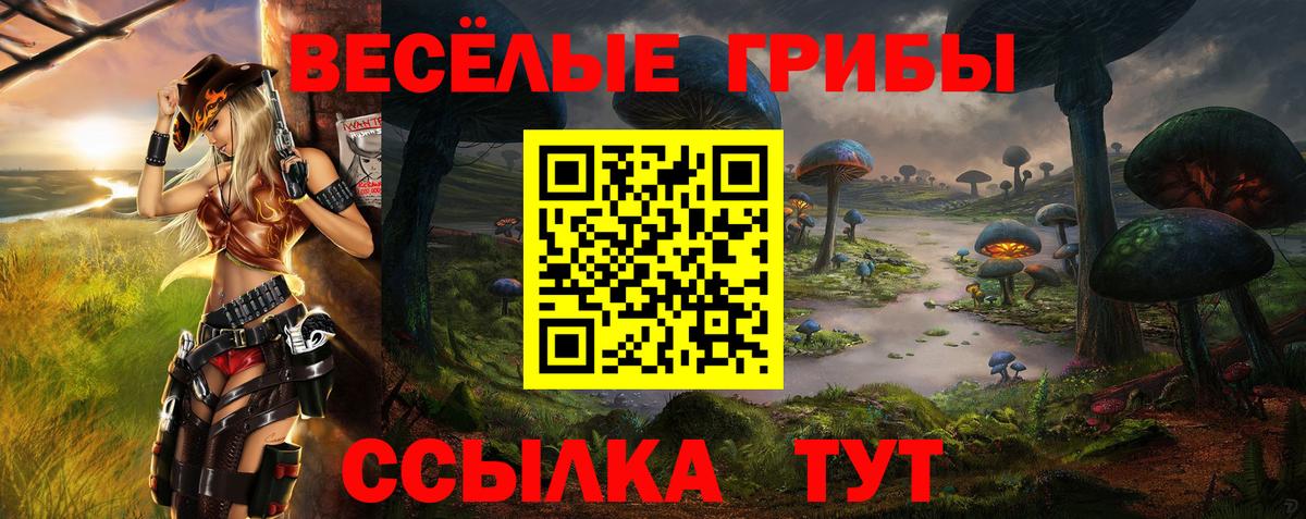 Галлюциногенные грибы мицелий  Вход с VPN  Чапаевск  Галлюциногенные грибы прущие грибы 