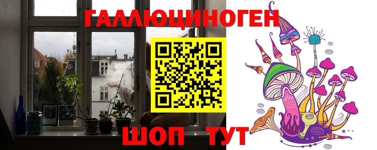 Псилоцибиновые грибы прущие грибы Чапаевск